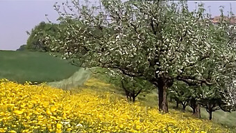 دختران مدرسه ای 1977: تجربه کامل فیلم