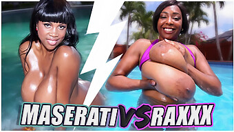 Des Lapins Bruns Aux Gros Seins Se Battent Pour Le Titre : Maserati Vs Raxxx