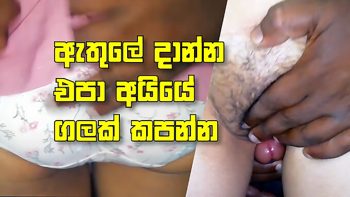 Srilankan Amateur Gets Her Ass And Vagina Fucked