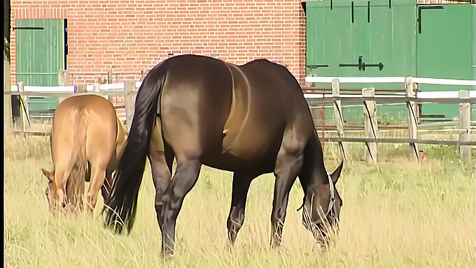 Tysk Teenager Udforsker Udendørs Nydelse Med Naturlige Bryster