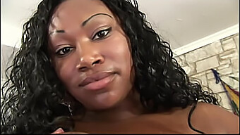 Riesiger Schwarzer Schwanz Fickt Schöne Ebony-Milf Mit Großen Titten