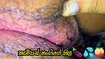 Cuộc Phiêu Lưu Bao Cao Su Sri Lankan Của Freshman Với Âm Đạo Và Dương Vật Lớn