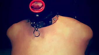 Femdom Mistress Dominerer Sukkerbaby Med Ballbusting Og Bondage