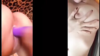 Ragazze In Azione Da Sole: Raccolta Di Video A Schermo Diviso