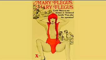 经典美国磨房:Mary Flegus在mkx中